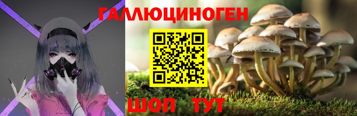 Псилоцибиновые грибы Psilocybine cubensis  Галлюциногенные грибы ЛСД  Вход с VPN  Ярославль 